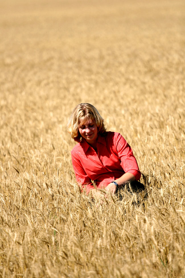 Wheat